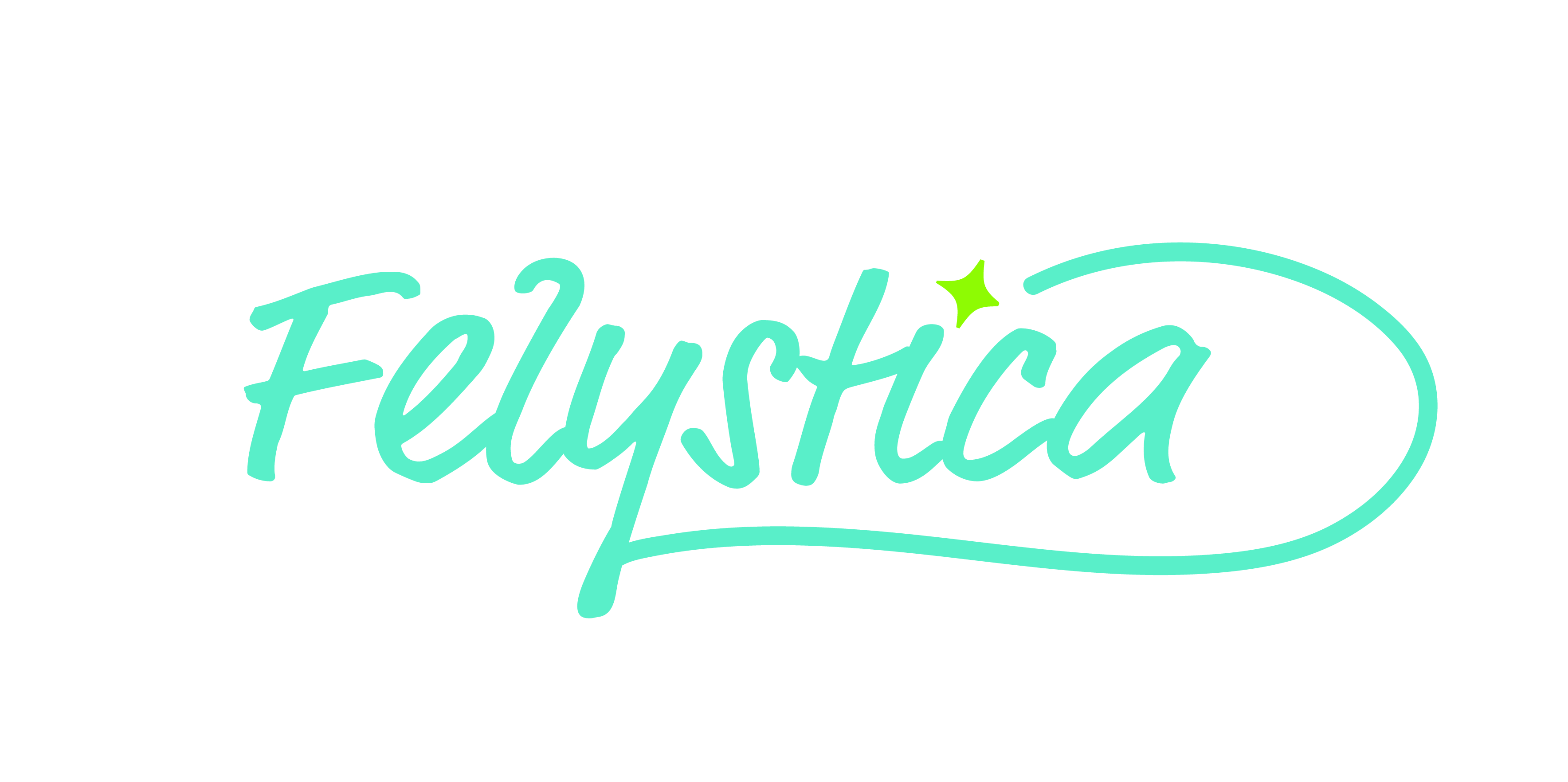 Felystica - Logo-01.jpg