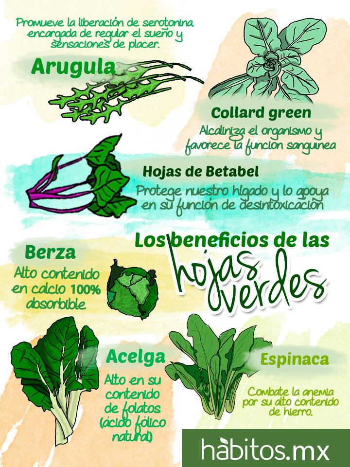 Hábitos Health Coaching ¡las Hojas Verdes Y Algunos De Sus Beneficios Destacados 5529