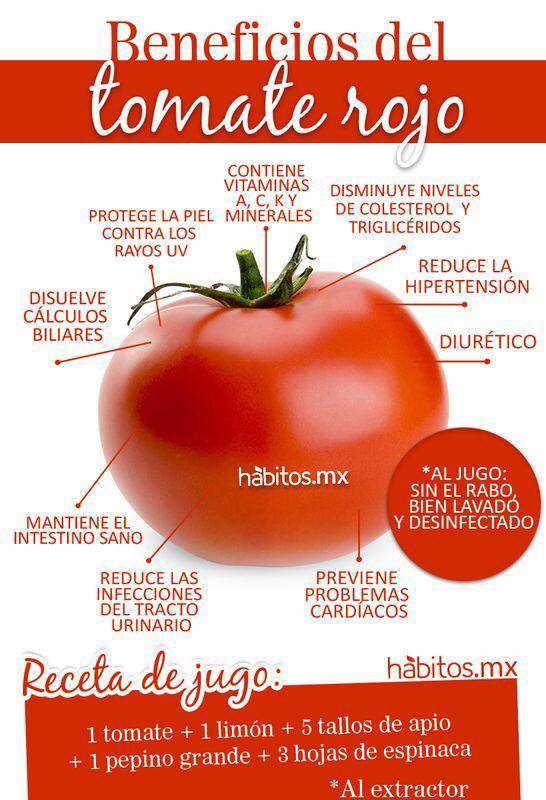 7 Beneficios De Comer Comida Saludable Tomate Raf En Tu Casa Porn Sex Picture 6033