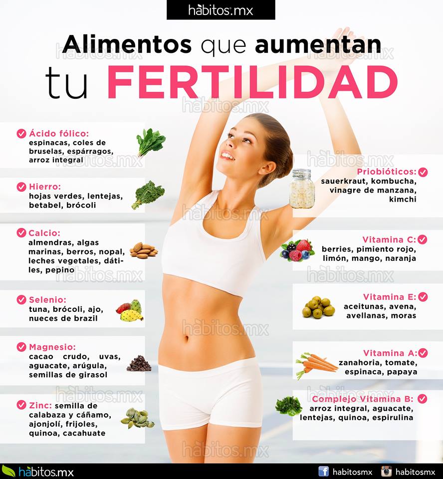 ALIMENTOS QUE MEJORAN TU FERTILIDAD Hábitos Health Coaching