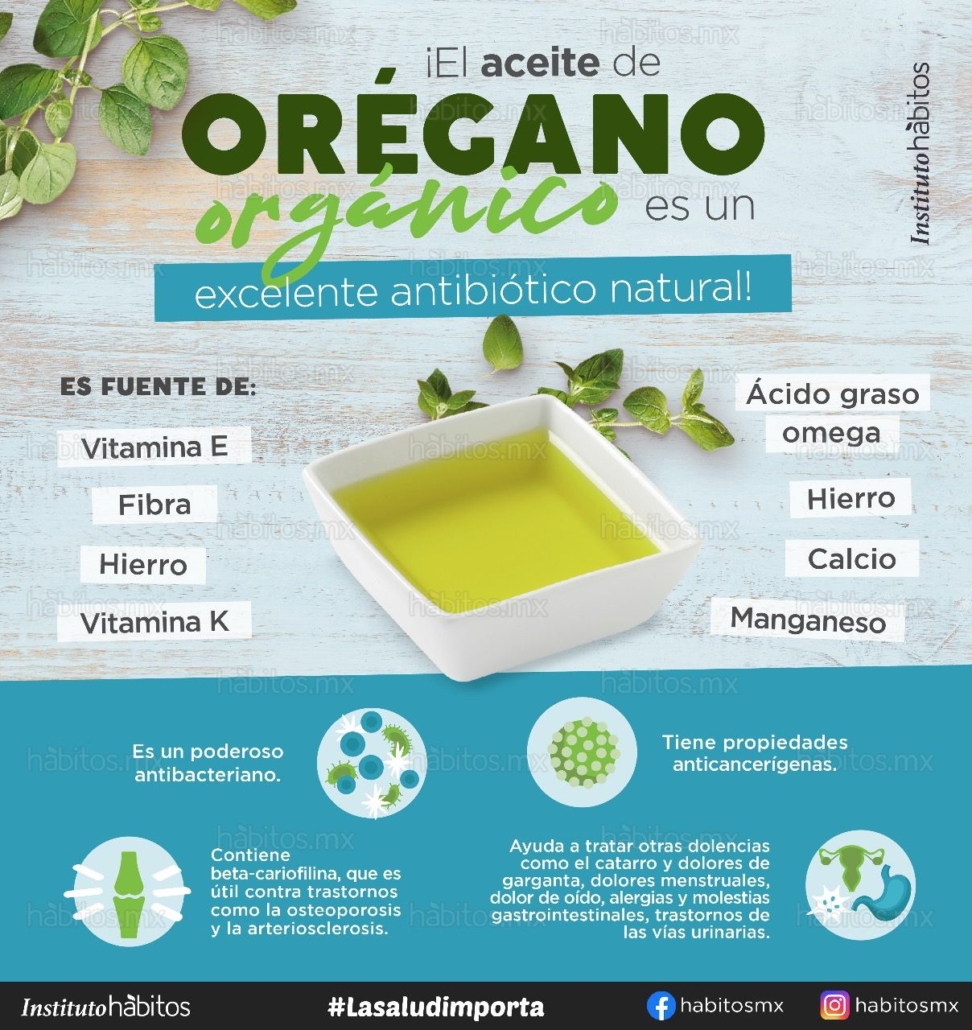 Aceite orgánico de orégano – Hábitos Health Coaching