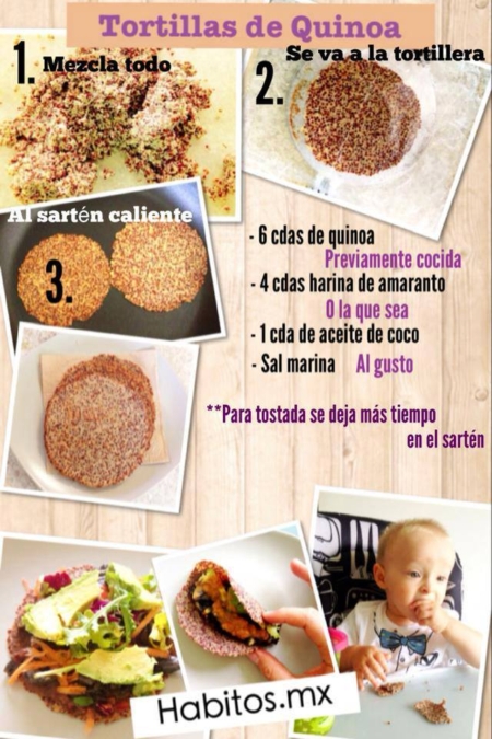 ¡Tortillas Y Tostadas De Quinoa! – Hábitos Health Coaching